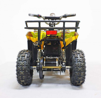 Квадроцикл GreenCamel Гоби K40 (36V 800W R6 Цепь)