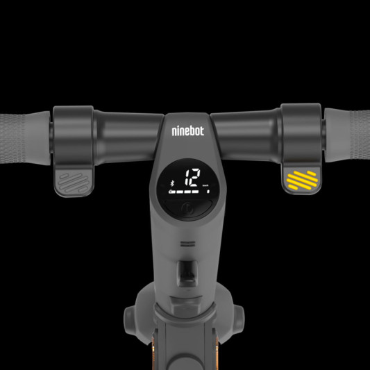 Электросамокат Ninebot E25A