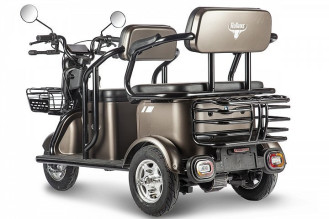 Электротрицикл Rutrike Караван, зеленый