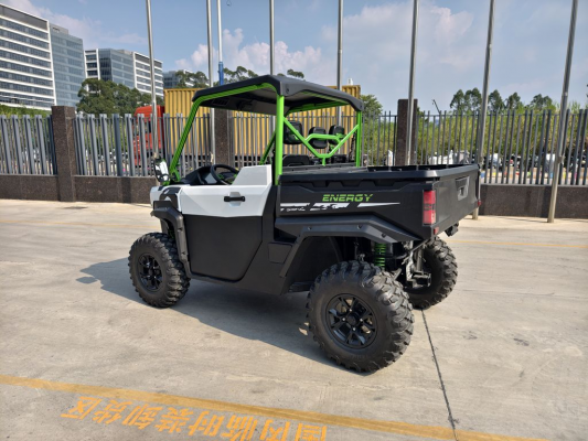 Багги CHEETAH Electric UTV